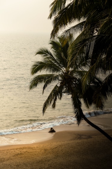 Goa Beach & Shacks Break
